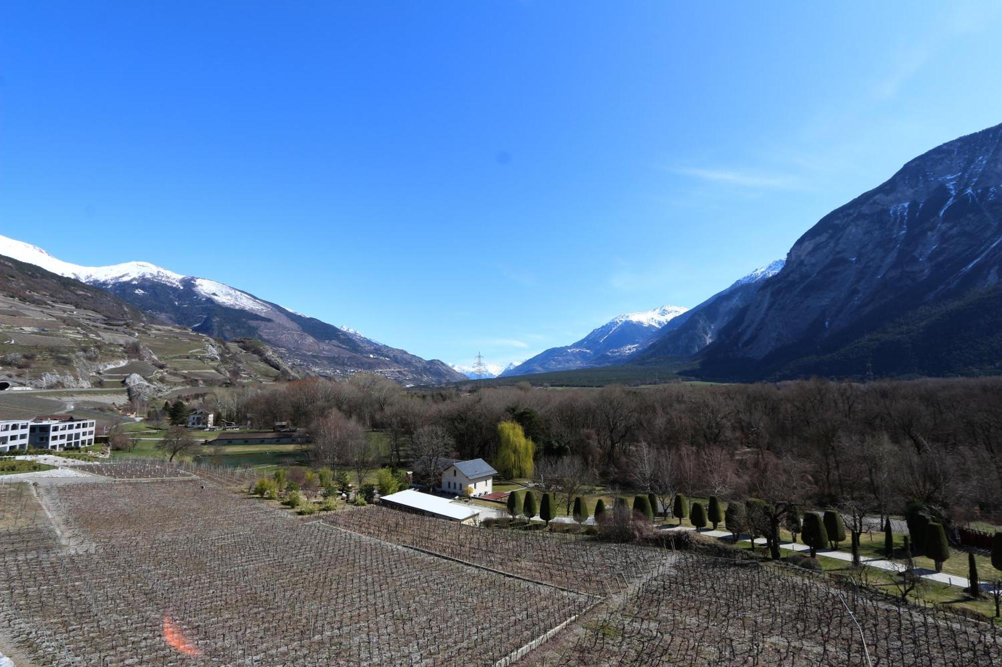 Bnb Vino Veritas Salgesch Buitenkant foto